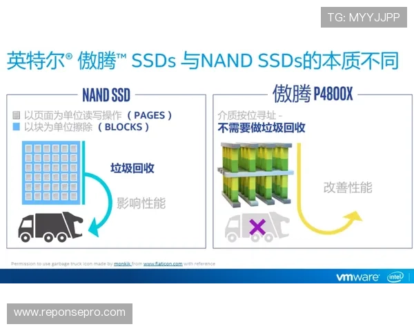 开云在线登录路口遇到登录困难怎么办详细步骤帮你快速解决问题